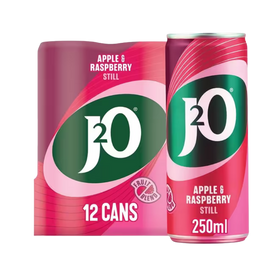 J20 Apple & Raspberry 10 x 250ml Cans