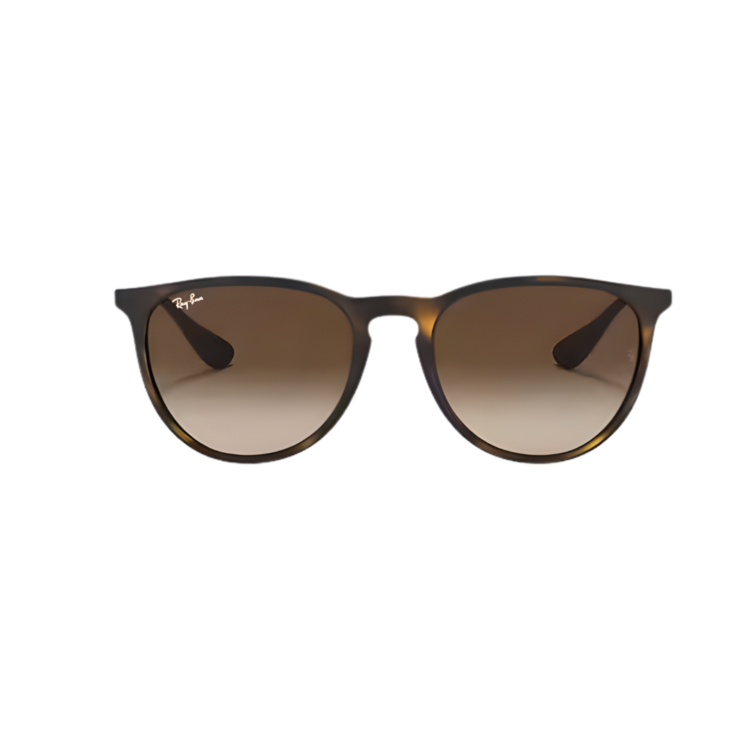 RayBan Erika Havana Sunglasses