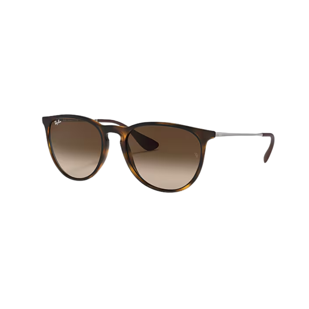 RayBan Erika Havana Sunglasses