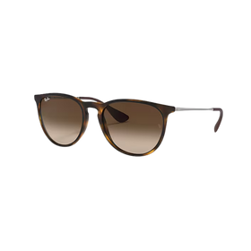RayBan Erika Havana Sunglasses