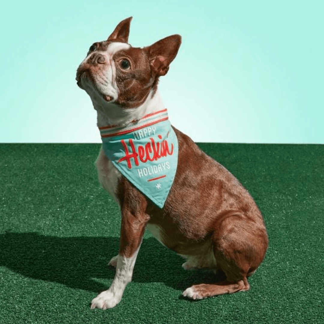 Brass Monkey Happy Heckin' Holidays Pet Dog Bandana