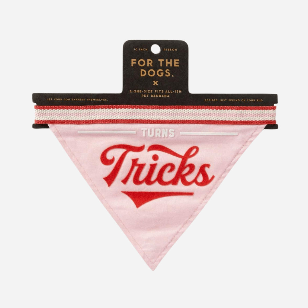 Brass Monkey Turns Tricks Pet Dog Bandana