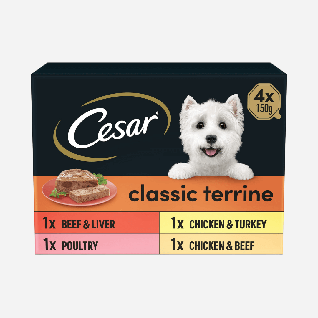 Cesar Classic Terrine Variety Premium Wet Dog Food