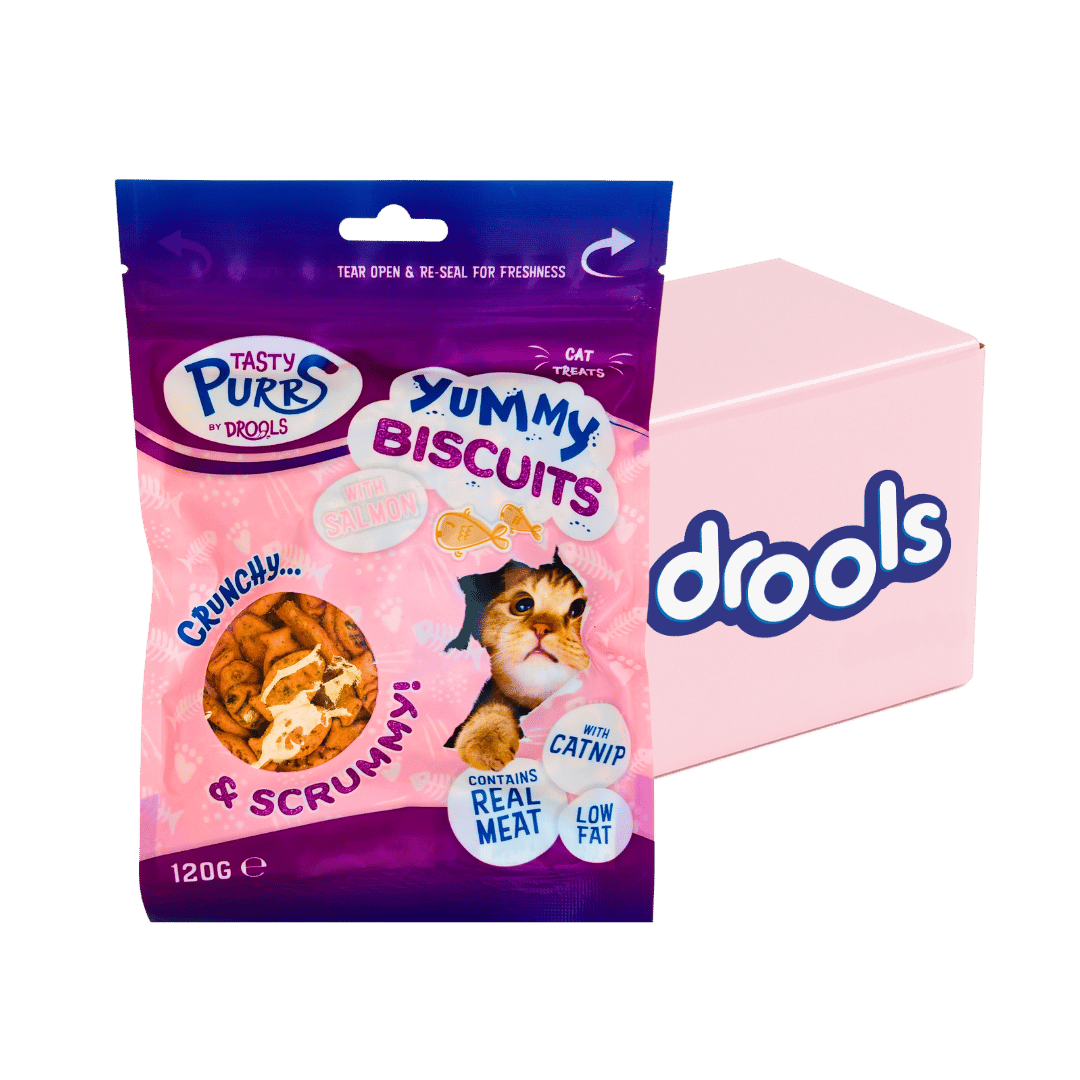 Drools Yummy Cat Treat Biscuits With Salmon