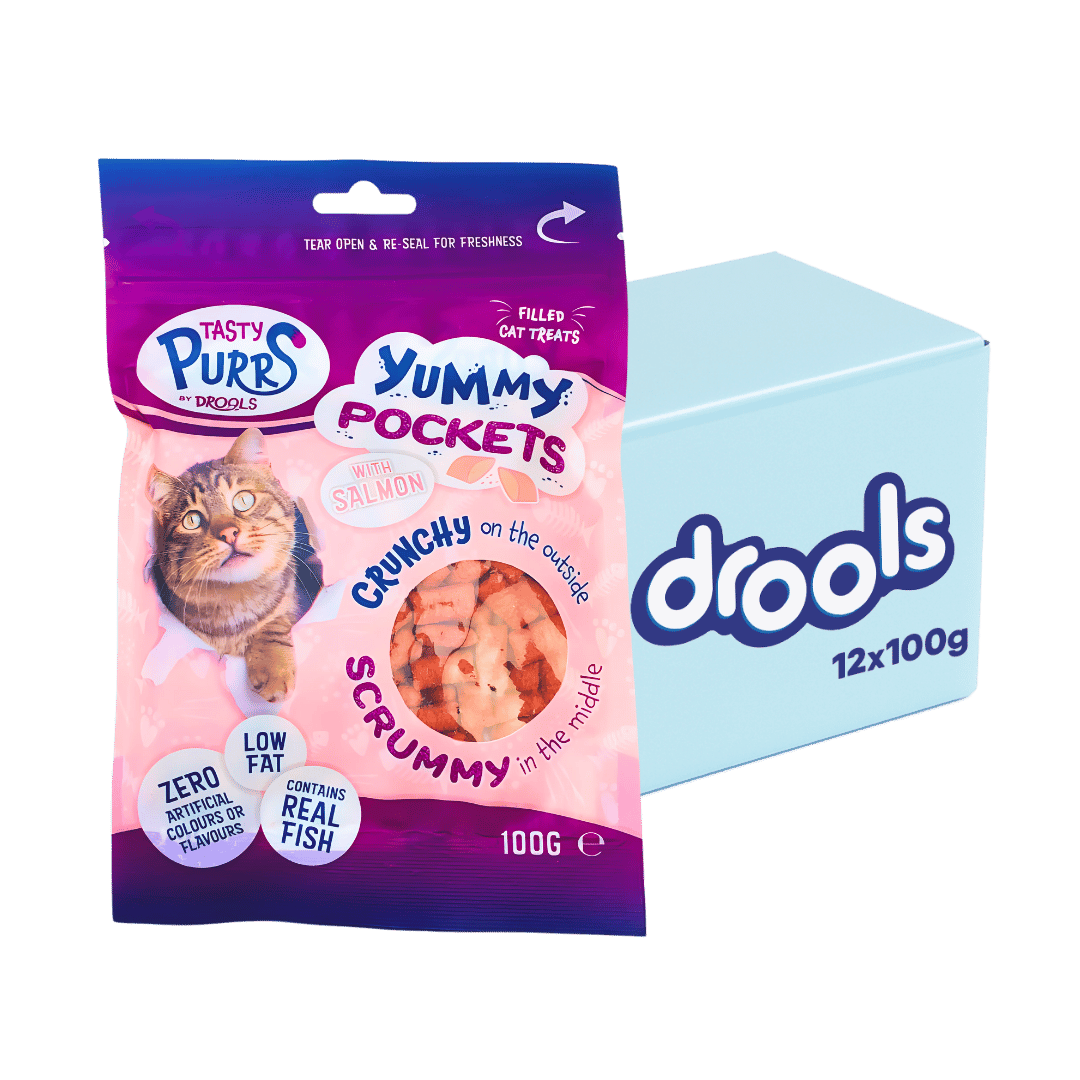 Drools Yummy Cat Treat Pockets With Salmon