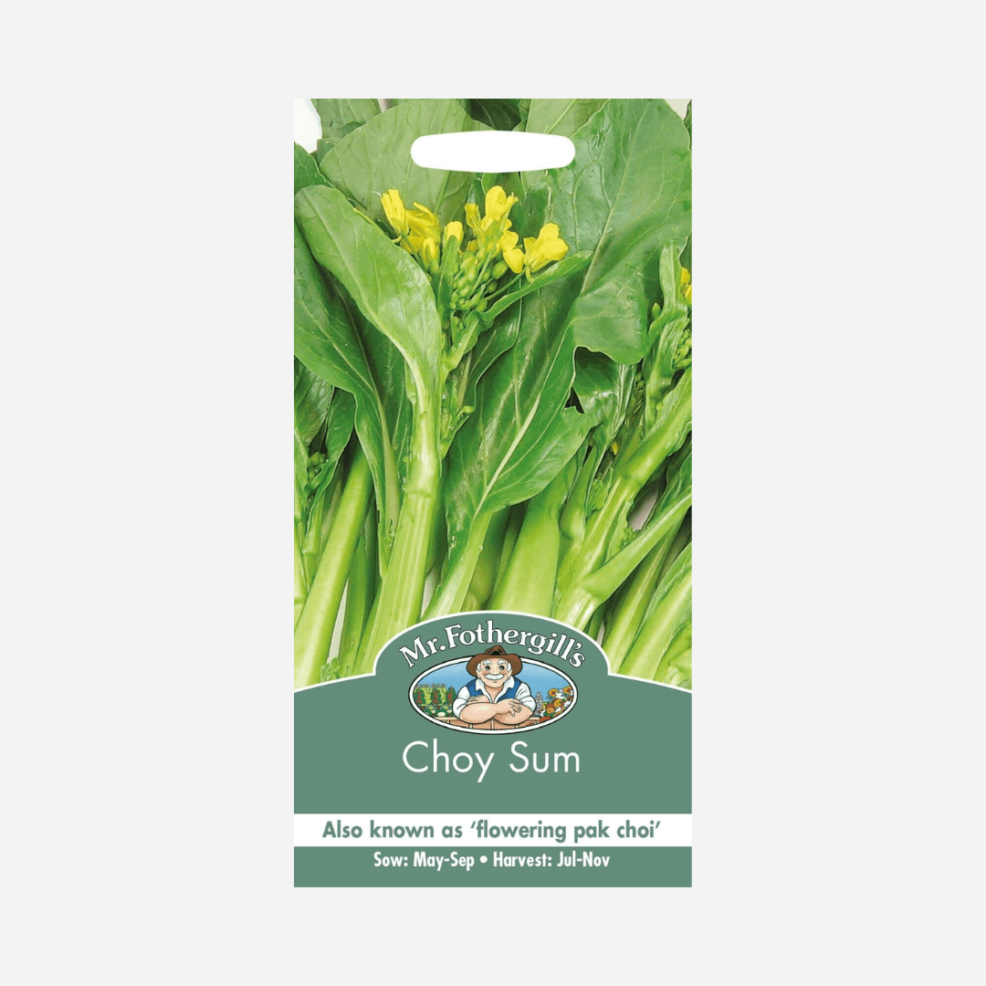 Mr Fothergill's Grow Your Own Choy Sum Pak Choi Seeds